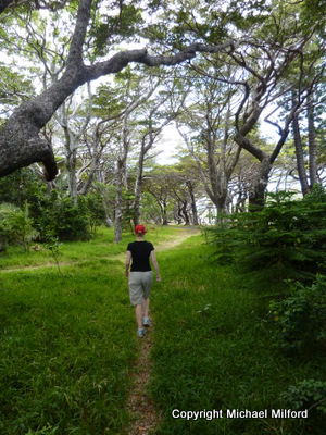 Isle of Pines trails
